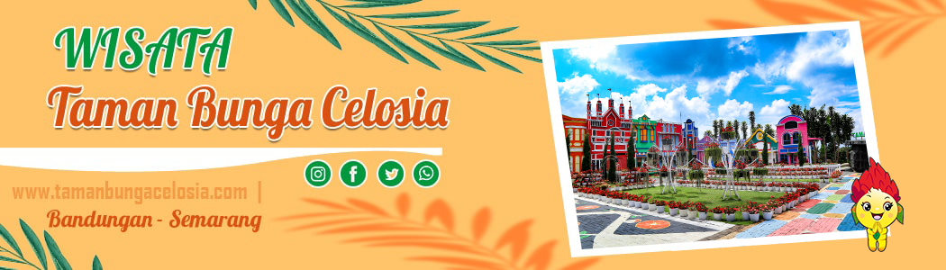 Lokasi dan Harga Tiket Masuk Taman Bunga Celosia Bandungan