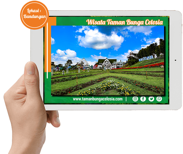 Lokasi dan Harga Tiket Masuk Taman Bunga Celosia Bandungan
